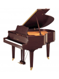 GC1 (Satin American Walnut), зображення 1
